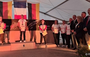 CHAMPIONNAT du MONDE Armes Anciennes