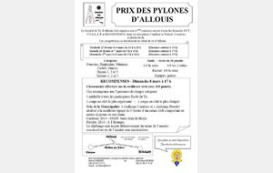 Prix des Pylones d'Allouis